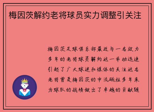 梅因茨解约老将球员实力调整引关注