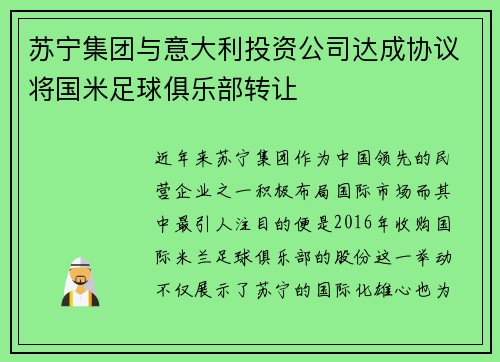 苏宁集团与意大利投资公司达成协议将国米足球俱乐部转让